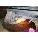 Terrarium żółw lądowy full z ogrzewaniem, UV i halogenem